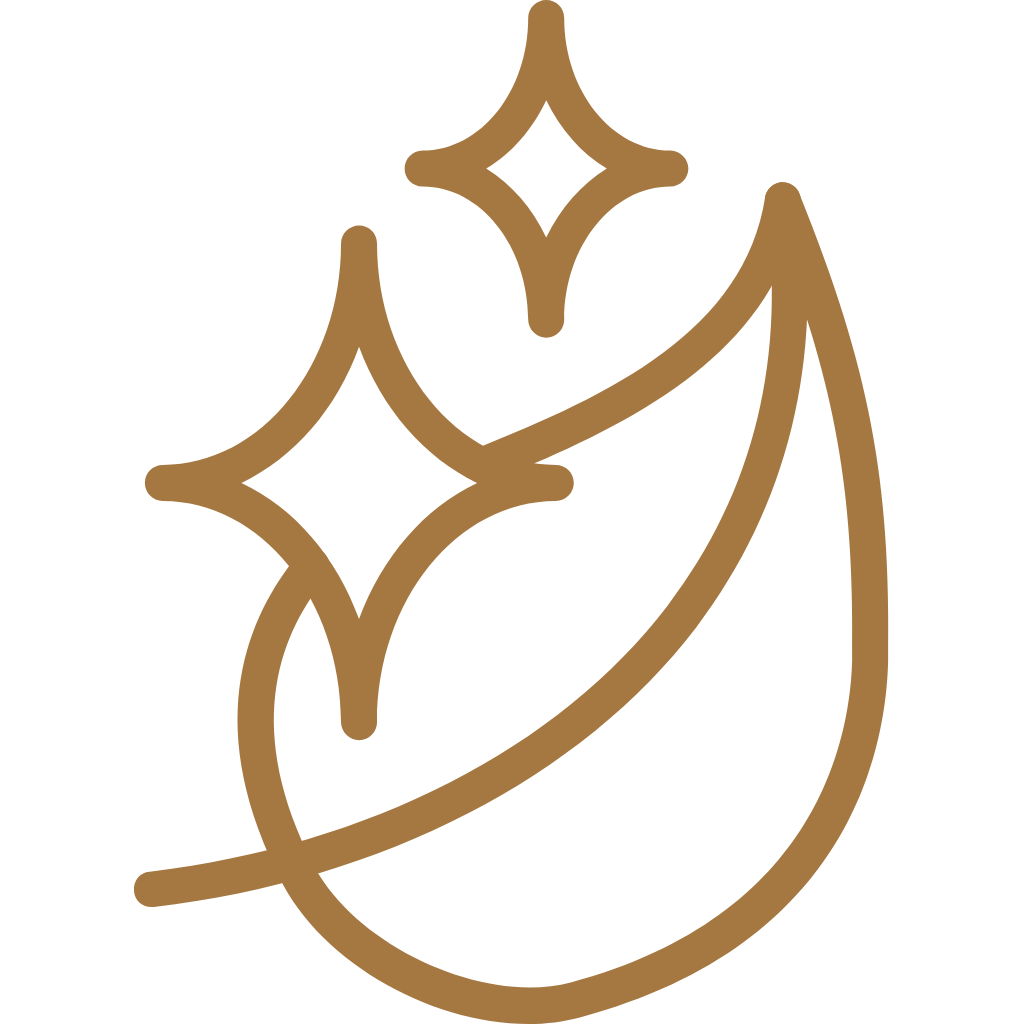Alt Image